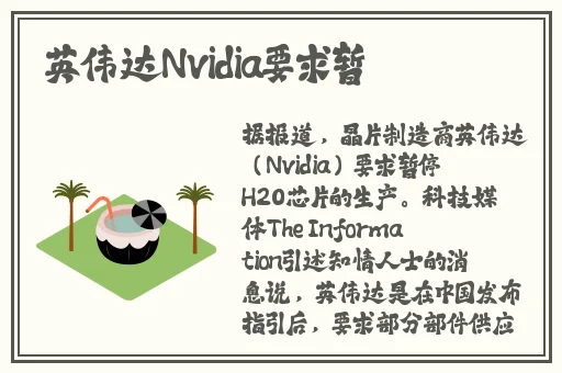 stoyaDP成⼈版